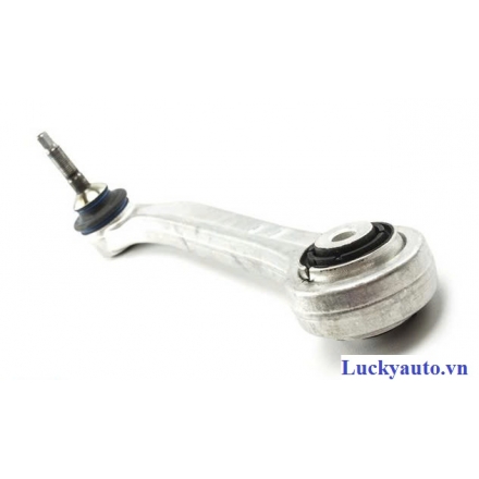 Càng i dài sau xe BMW X5 E70_ 33326796001